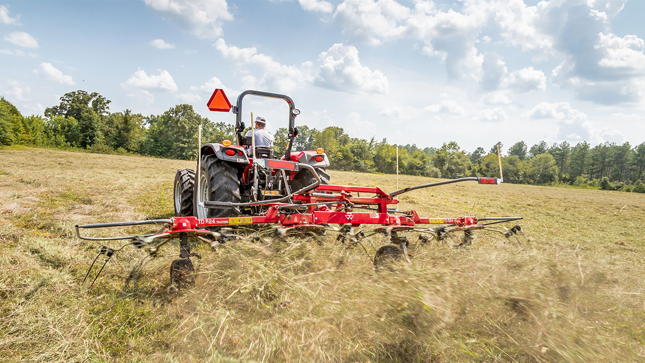 Massey Ferguson tractor using MF TD Series Tedder in field, spreading hay evenly to speed drying and improve forage quality.