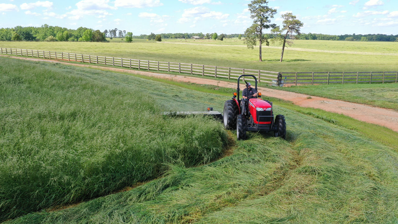Massey Ferguson tractor with MF DM Series Disc Mower cutting a dense grass field, built for clean, efficient mowing.
