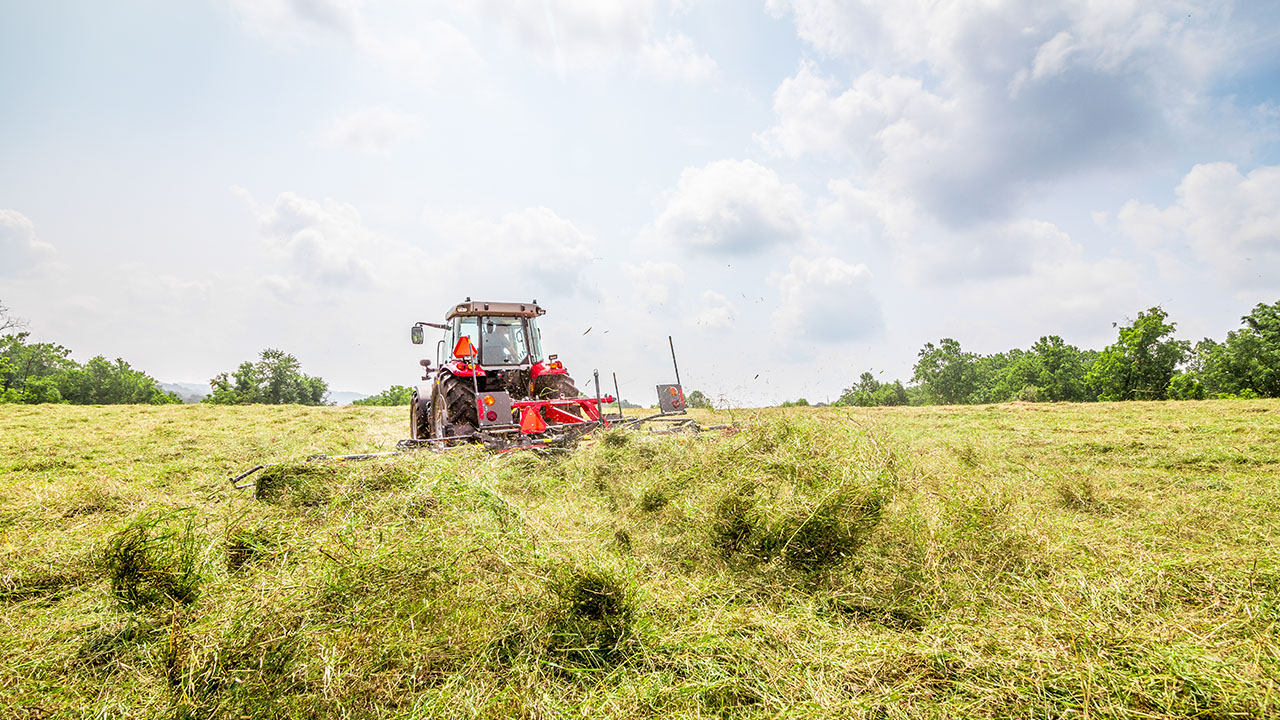 Massey Ferguson tractor operating MF TDX Series Tedder in hayfield, spreading cut crop for faster, even drying and forage quality.