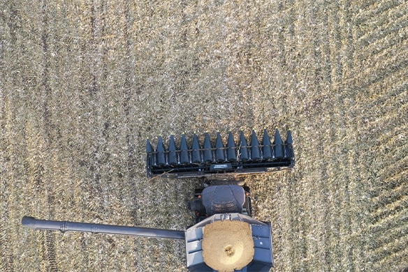 Thumbnail forTop-down view of Geringhoff corn header on Fendt combine, efficiently cutting through rows of corn.