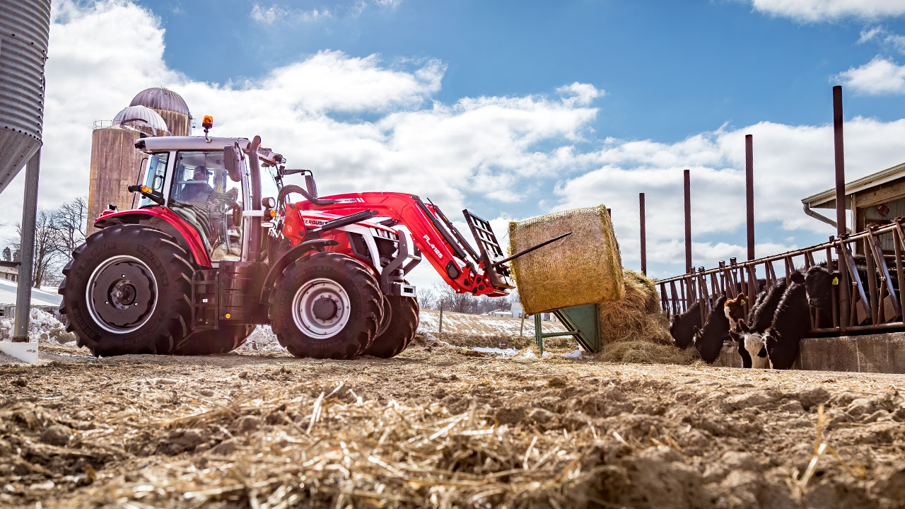 Massey Ferguson 6S Series tractor using front loader to feed hay to cattle on a snowy farm under a bright blue sky.