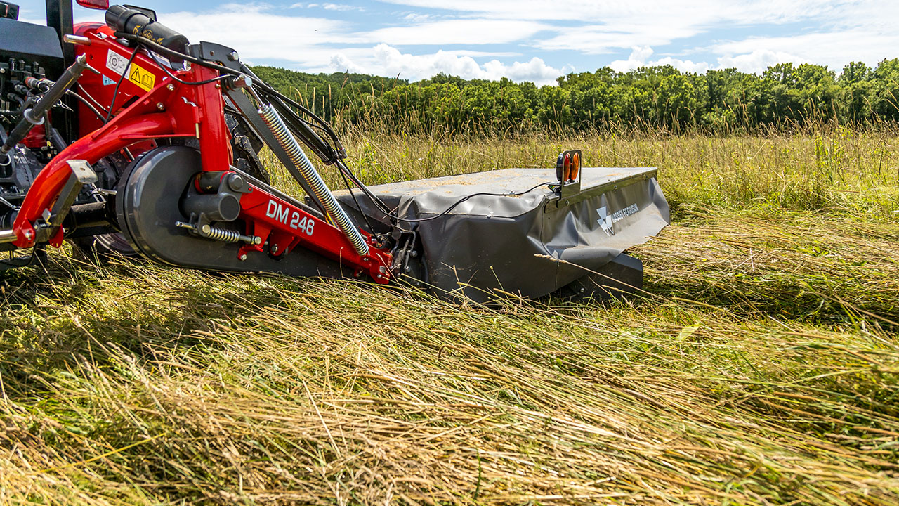 Close-up of Massey Ferguson DM Series Disc Mower cutting tall grass, built for durability, clean cuts, and dependable field performance.