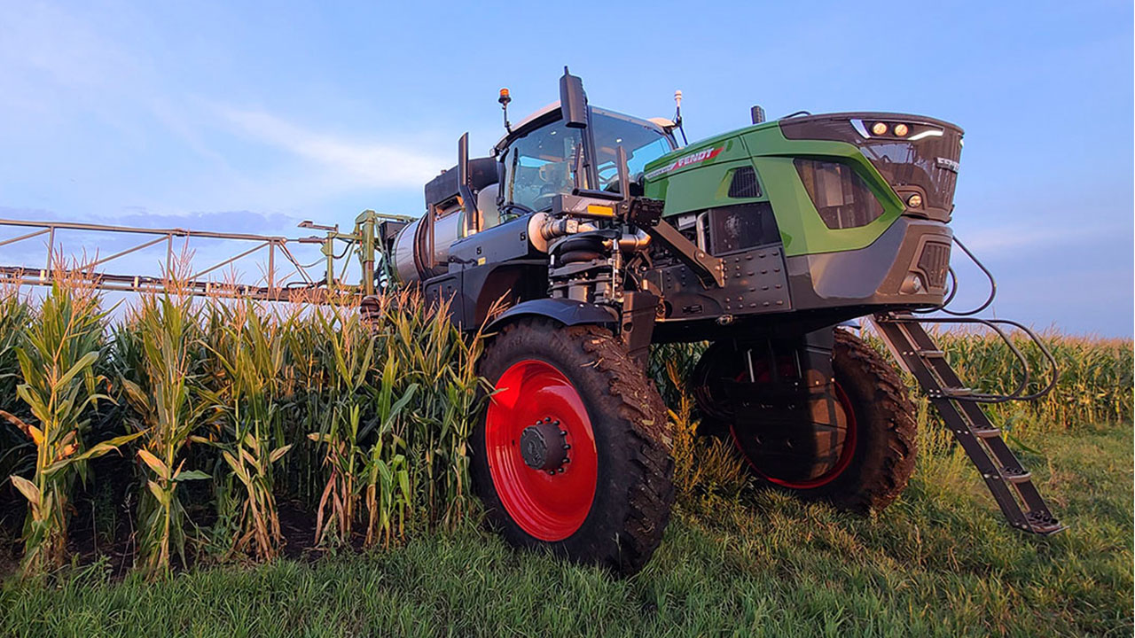 Fendt Rogator 900 sprayer applying crop protection in tall corn, high-clearance AGCO equipment for precision agriculture.