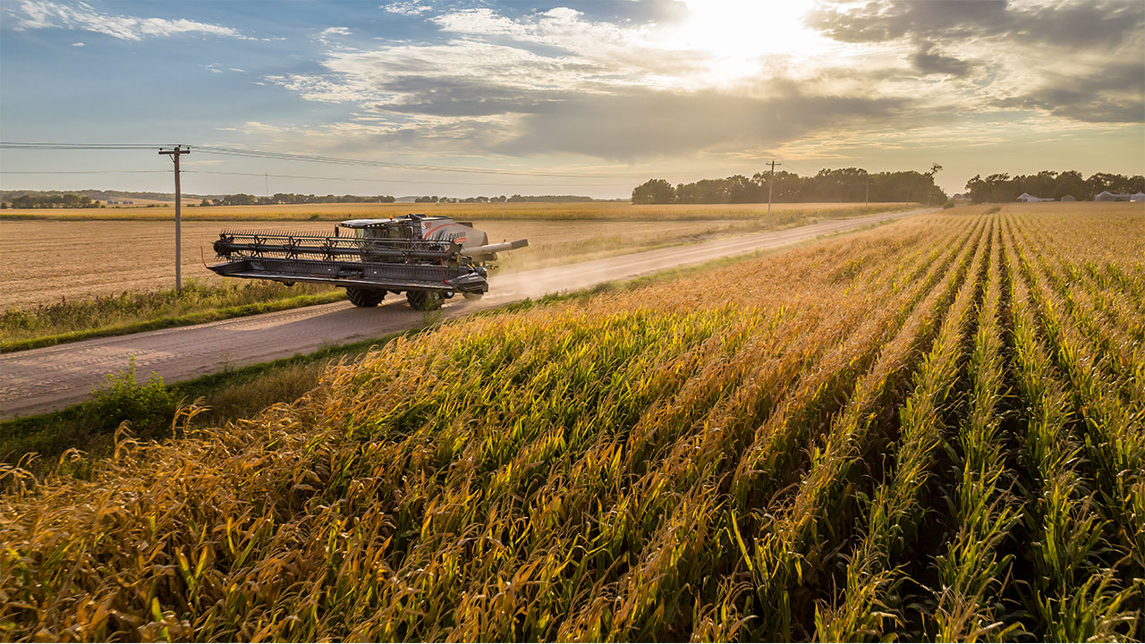 Gleaner combine driving down the road next to a field of corn
