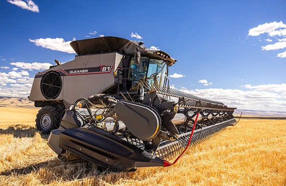 Gleaner T Series combine harvester T81 model working in a golden wheat field under a blue sky, showcasing advanced harvesting efficiency and modern farm machinery.