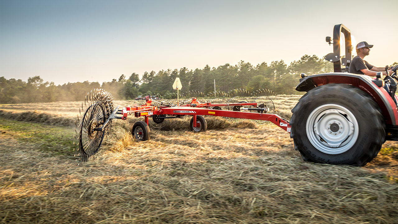 MF RK V Series Wheel Rake pulled by Massey Ferguson tractor, forming uniform windrows in a hayfield during golden hour.