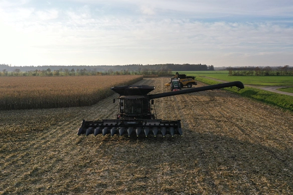 Thumbnail forGeringhoff corn headers on dual combines, providing fast, efficient corn harvesting in large fields.