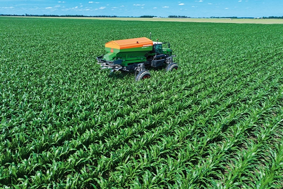 Thumbnail for Amazone ZG-TS high-capacity spreader efficiently applying nutrients in tall row crop corn, viewed from above.