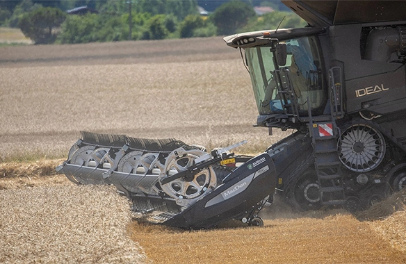 MacDon FD2 FlexDraper header operating on an AGCO IDEAL combine, cutting wheat with exceptional ground-following ability and header float control.