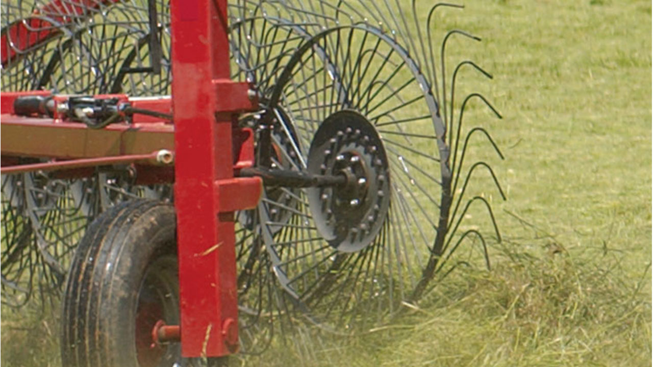Close-up of MF 3900 Series Wheel Rake tines and frame gathering hay, built for durability and clean windrow formation.
