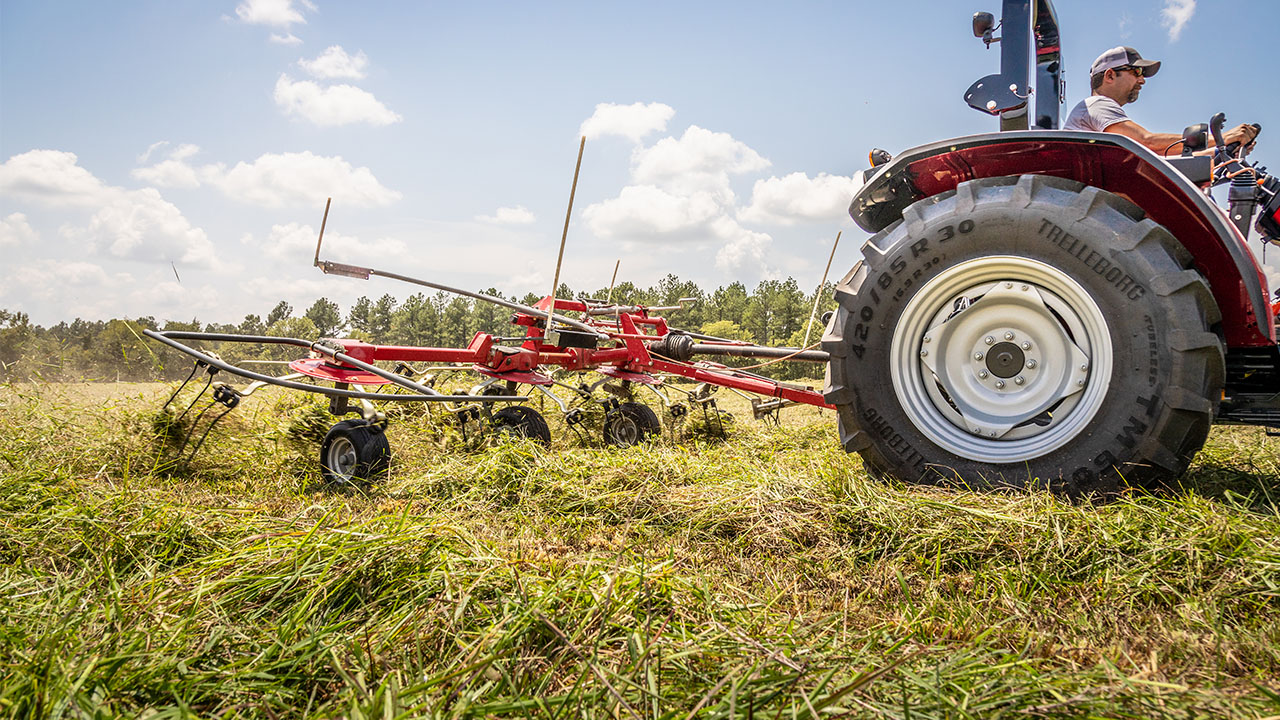 Massey Ferguson tractor using MF TD Series Tedder in field, spreading hay evenly to speed drying and improve forage quality.