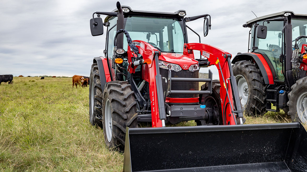 Massey Ferguson 4700 Series tractor in a cattle pasture, ideal for livestock chores and heavy-duty farm work.